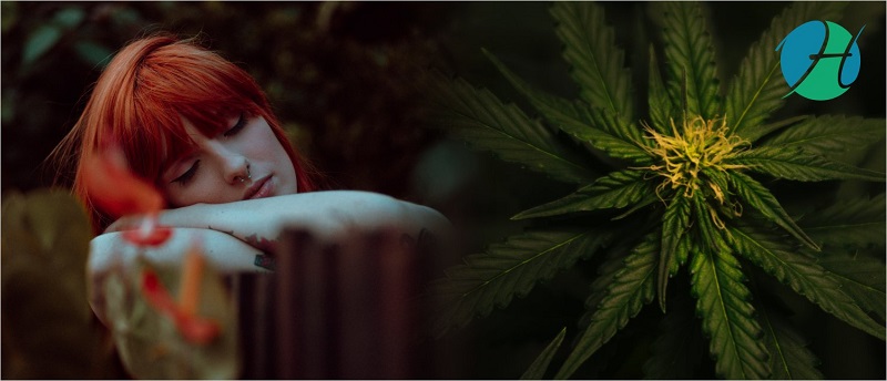 The Connection Between CBD and Sleep | HealthSoul