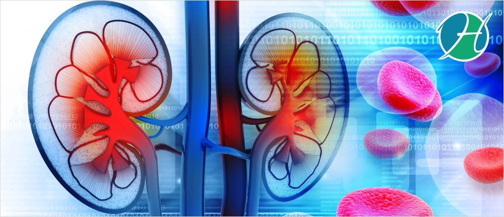 5 Must-Follow Rules to Keep Your Kidneys Healthy | HealthSoul