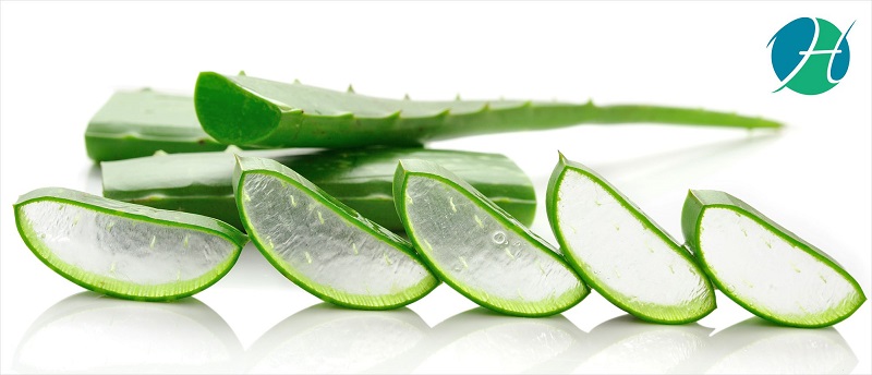 Health Benefits of Aloe Vera | HealthSoul