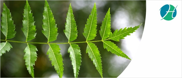 What are the benefits of Neem? | HealthSoul