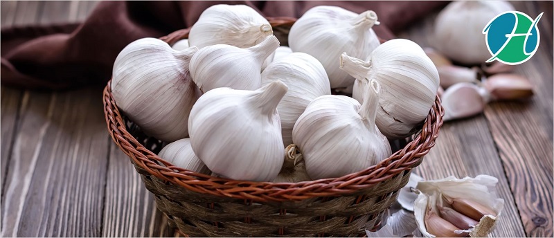 Garlic Benefits | HealthSoul