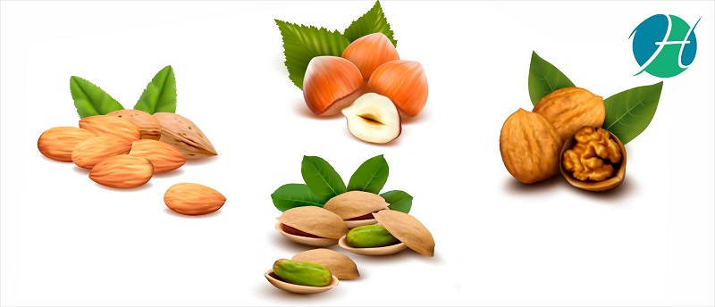 Top 10 Healthy Nuts | HealthSoul
