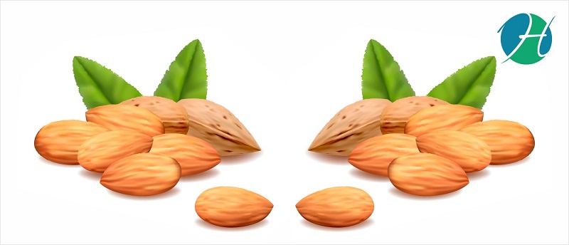 The top 5 Health Benefits of Almonds | HeathSoul