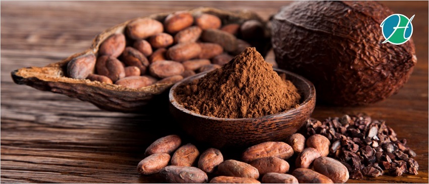 Four Health Benefits of Cacao Nibs | HealthSoul