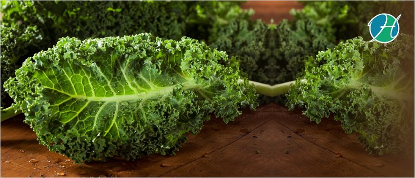 Why Kale Is The Superfood That It’s All Cracked Up to Be | HealthSoul