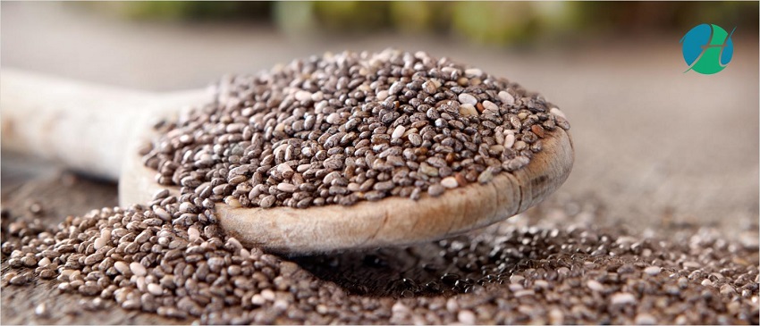 Health Benefits of Chia seeds | HealthSoul