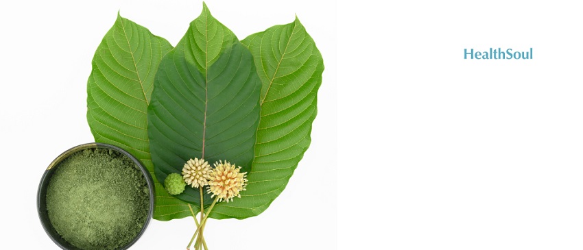 7 Things About Kratom You Need To Know | HealthSoul