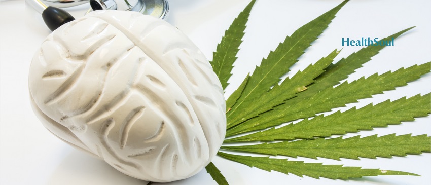 Can cannabis help improve focus and concentration? | HealthSoul