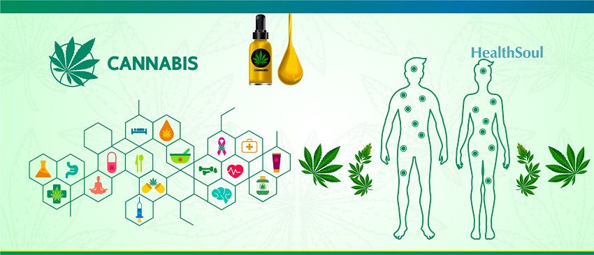 6 Positive Effects of Cannabis on the Body and Mind | HealthSoul